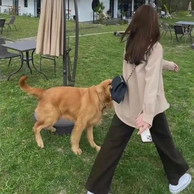 衰鬼一齐混